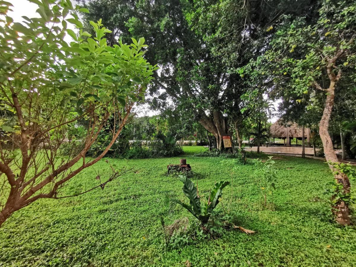 奇琴伊察朵拉而巴酒店 Chichén-Itzá 外观 照片